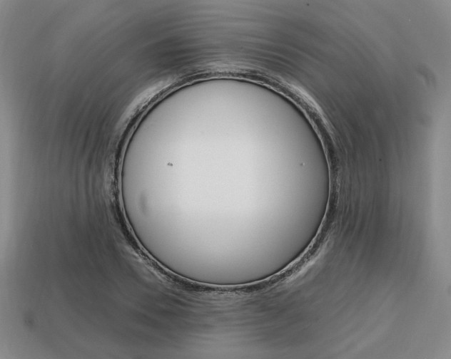 X0000113850930200909241002