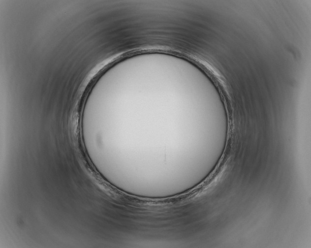 X0000113850933200909241002