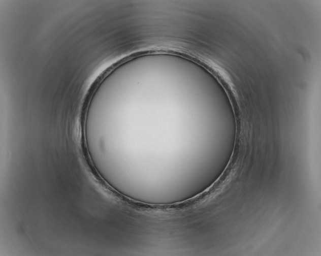 X0000113850936200909241002