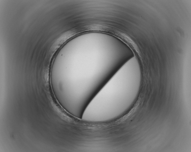 X0000113850938200909241002