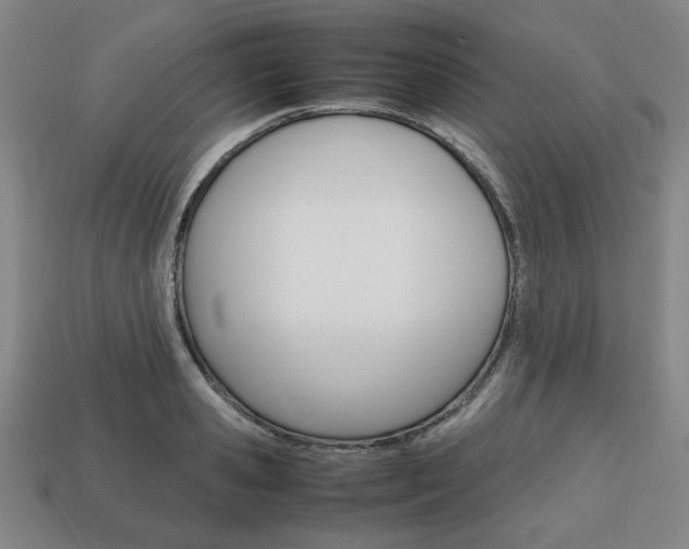 X0000113850941200909241002