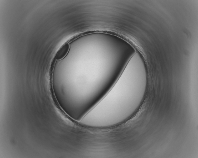 X0000113850942200909241002