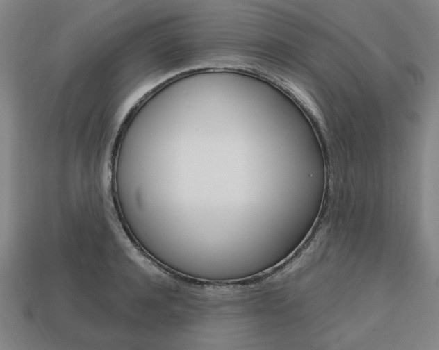 X0000113850944200909241002