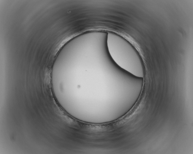 X0000113850945200909241002