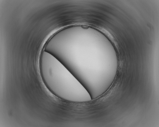 X0000113850947200909241002