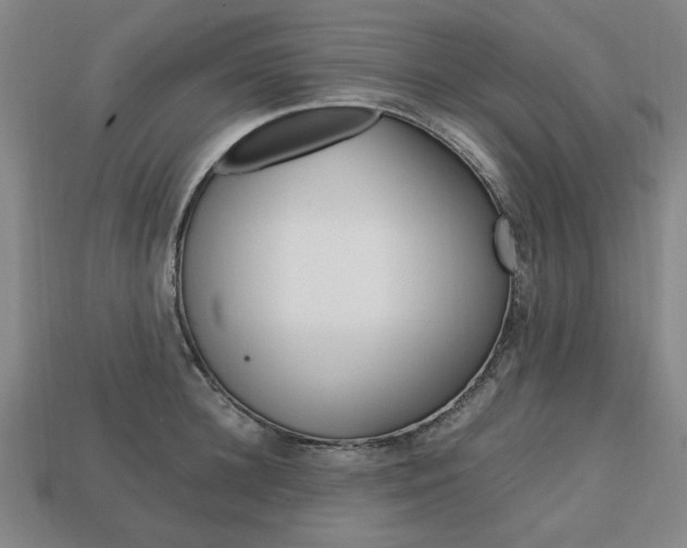 X0000113850948200909241002