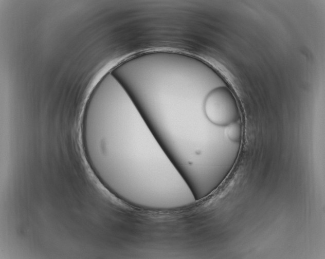 X0000113850949200909241002