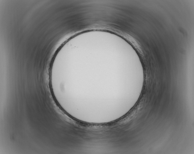 X0000113850950200909241002