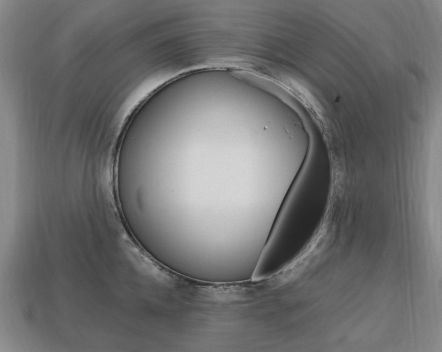 X0000113850952200909241002