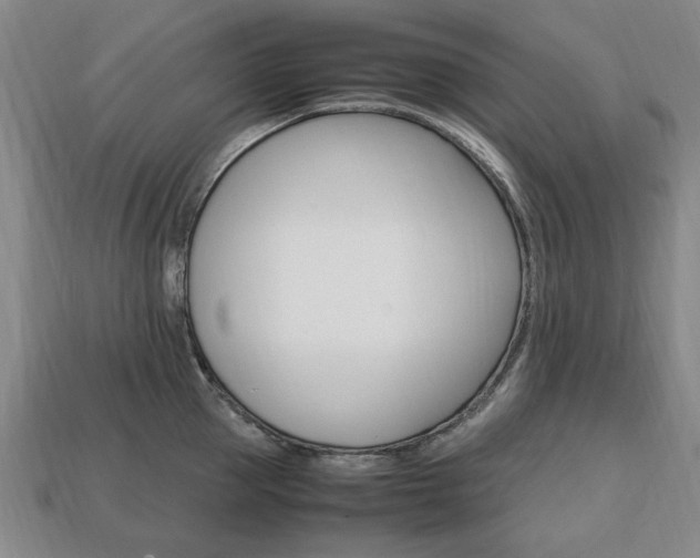 X0000113850953200909241002