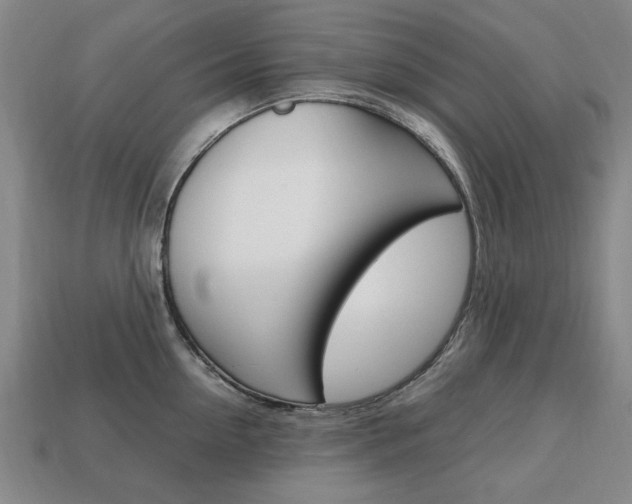 X0000113850954200909241002