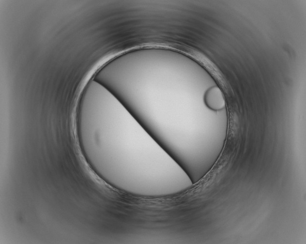 X0000113850955200909241002