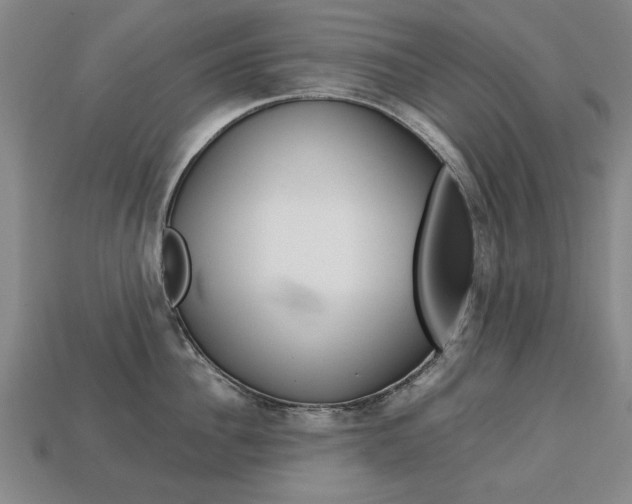 X0000113850956200909241002