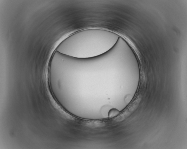 X0000113850957200909241002