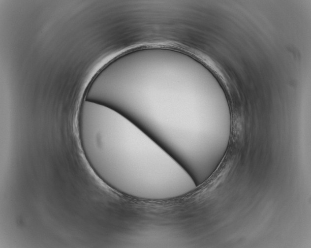 X0000113850959200909241002
