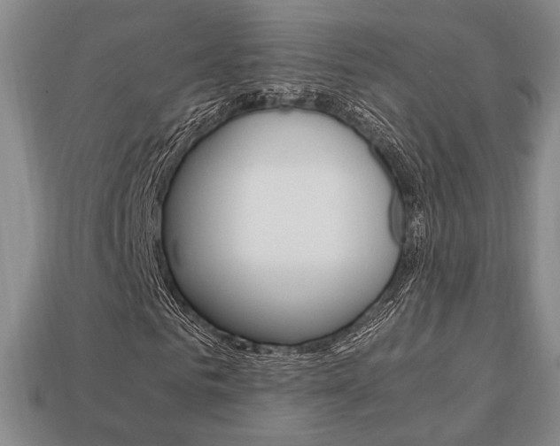 X0000113850961200909241002