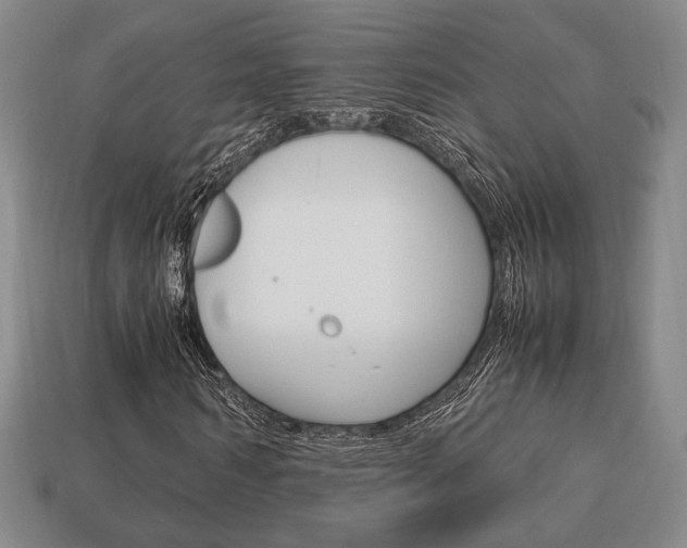 X0000113850962200909241002