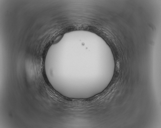 X0000113850963200909241001