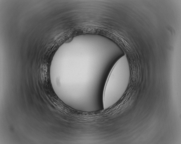 X0000113850964200909241001