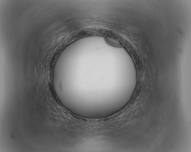 X0000113850965200909241001