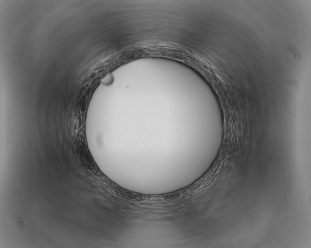 X0000113850966200909241001