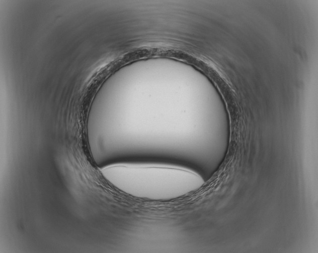 X0000113850967200909241001