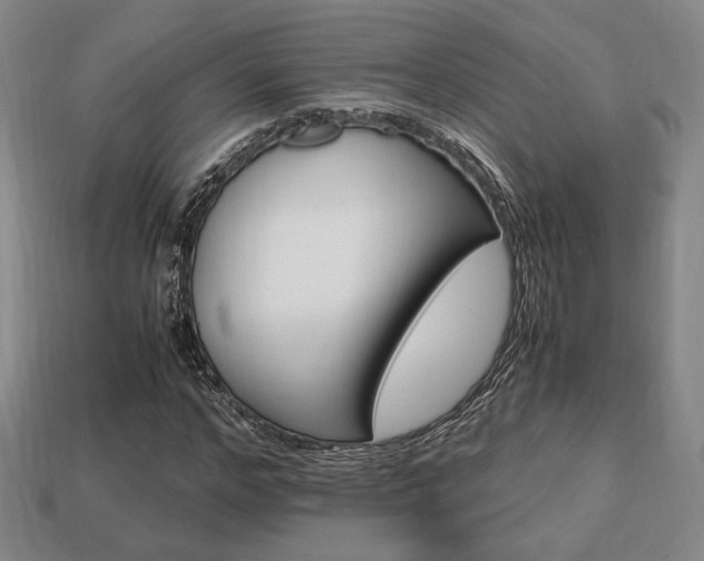 X0000113850968200909241001