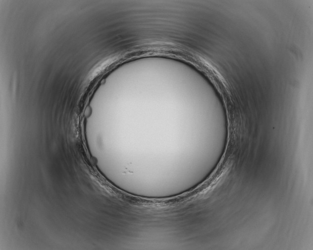 X0000113850970200909241001