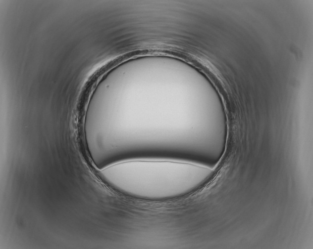 X0000113850971200909241001