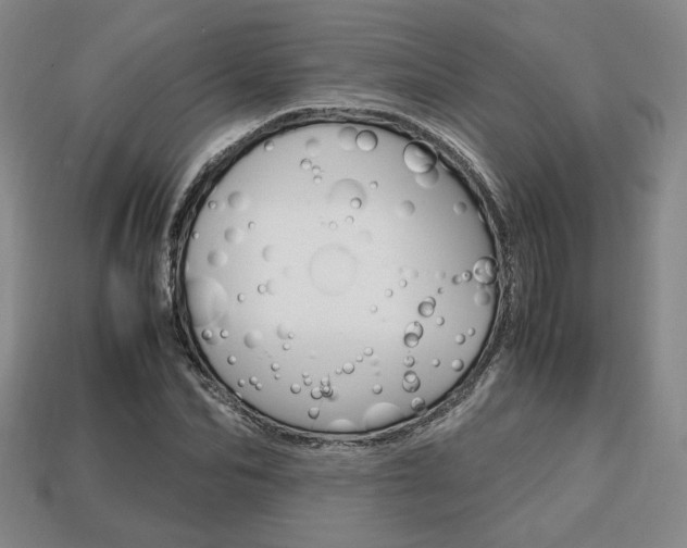 X0000113850974200909241001