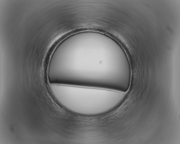 X0000113850975200909241001