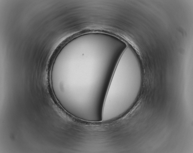X0000113850976200909241001