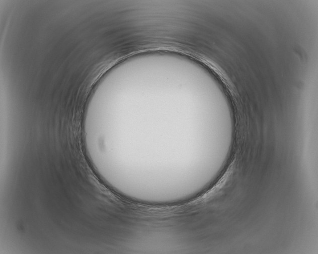 X0000113850977200909241001