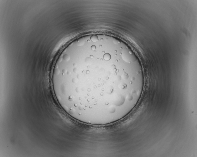 X0000113850978200909241001