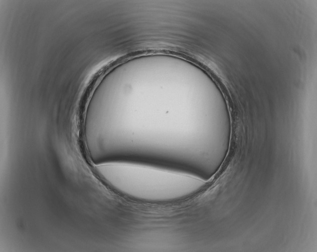 X0000113850979200909241001