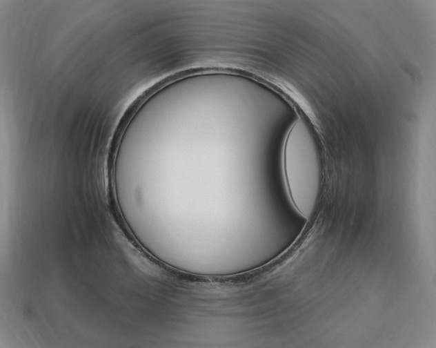 X0000113850980200909241001
