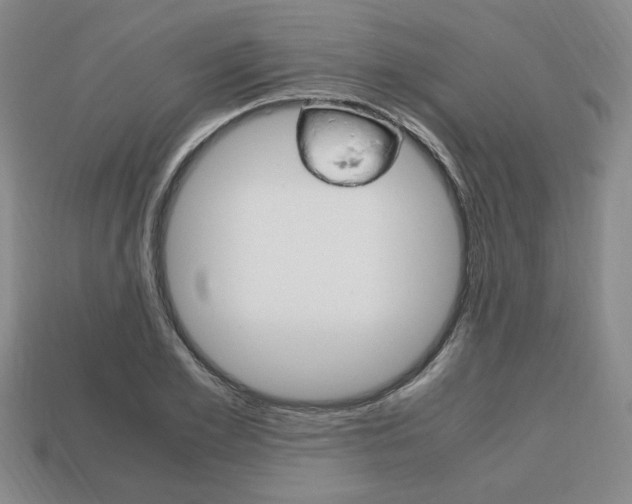 X0000113850981200909241001