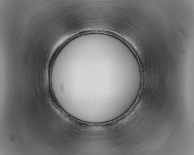 X0000113850982200909241001