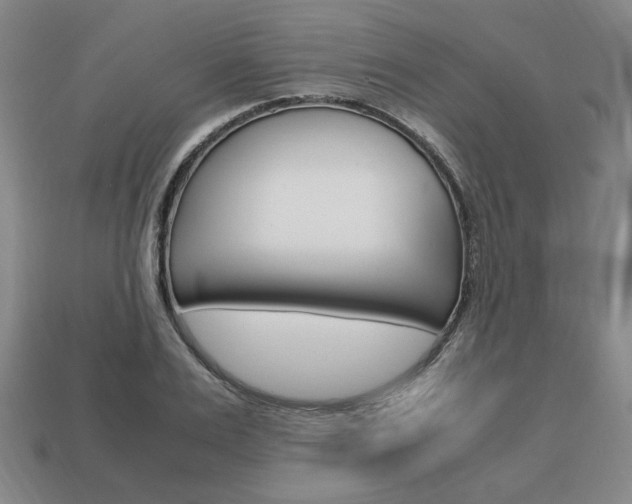 X0000113850983200909241001