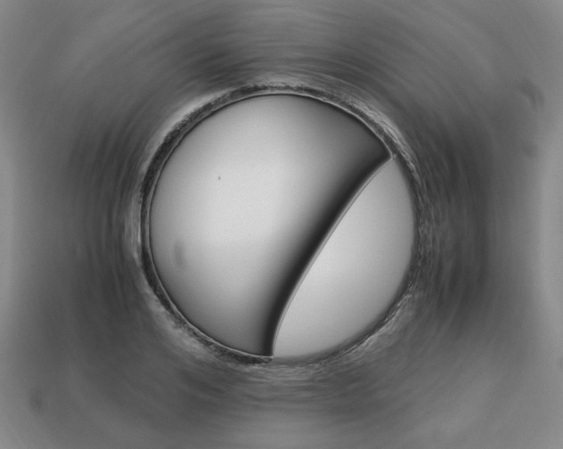 X0000113850984200909241001