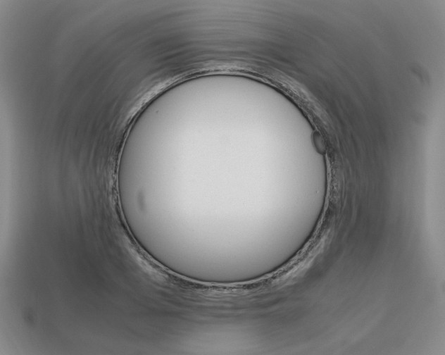 X0000113850985200909241001