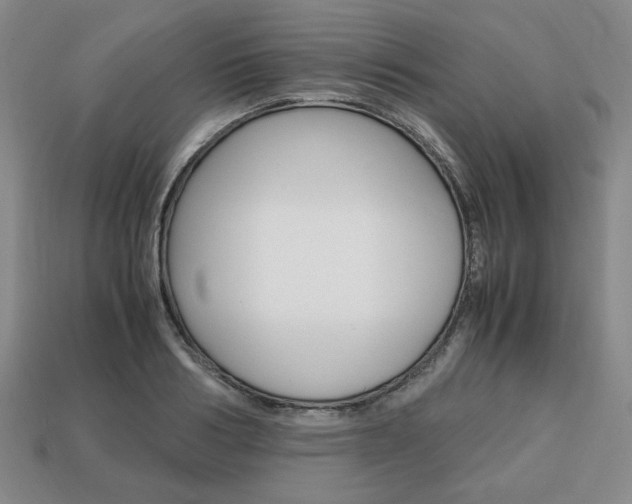 X0000113850986200909241001