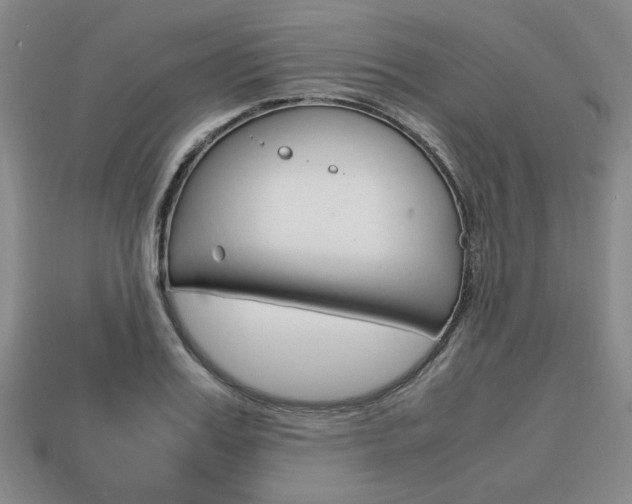 X0000113850987200909241001