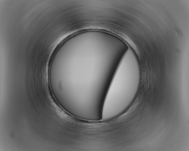 X0000113850988200909241001