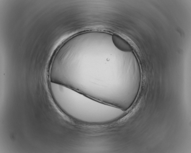X0000113850989200909241001