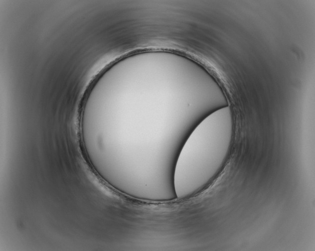 X0000113850990200909241001