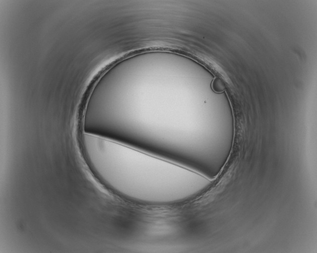 X0000113850991200909241001