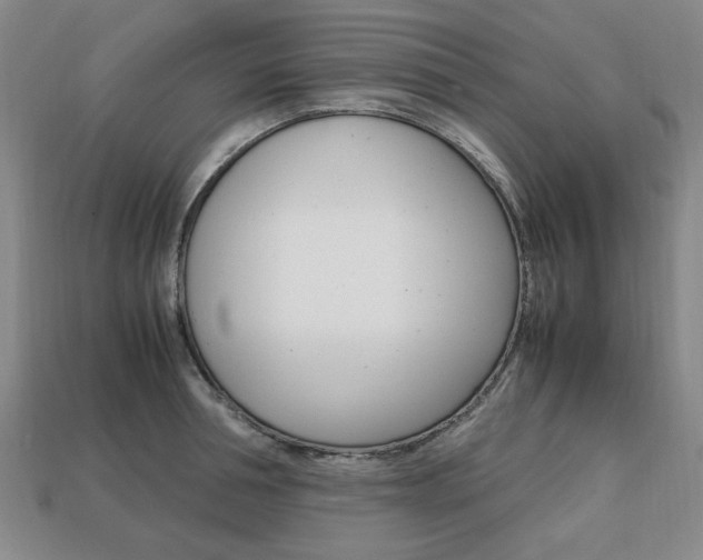 X0000113850994200909241001