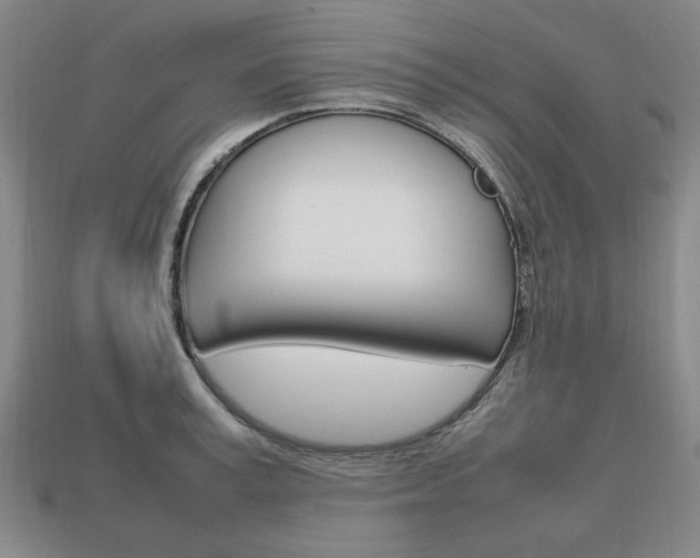 X0000113850995200909241001
