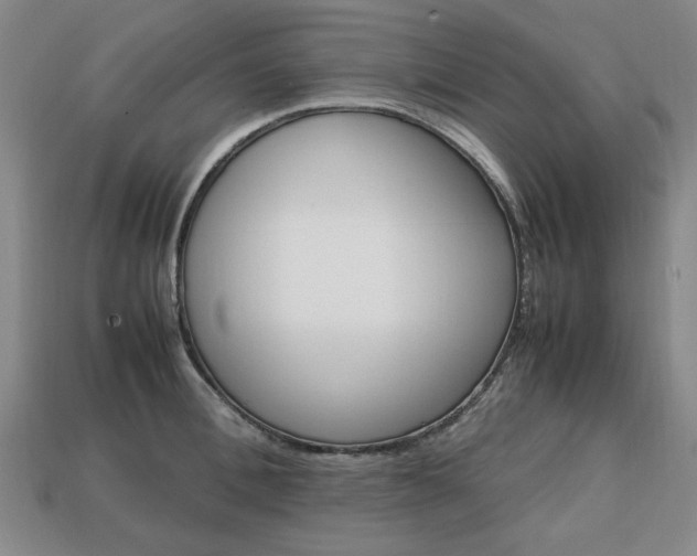 X0000113850996200909241001